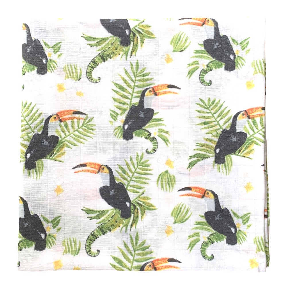 Toucans